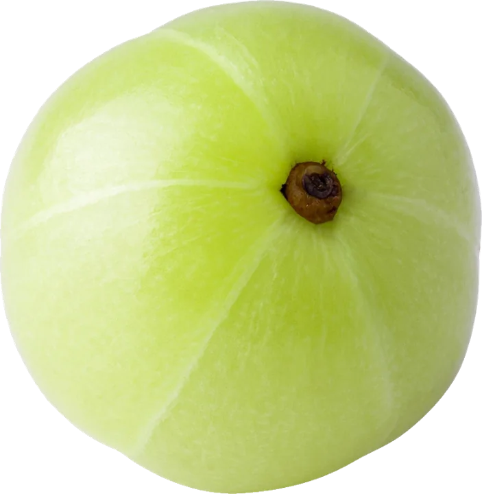 Indian gooseberry