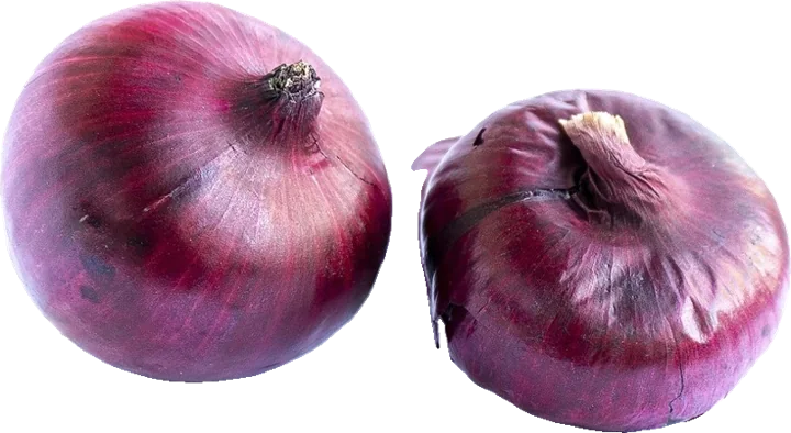 Big onion
