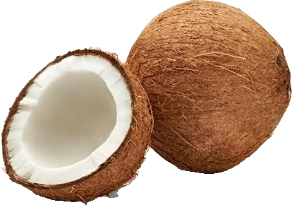Coconut