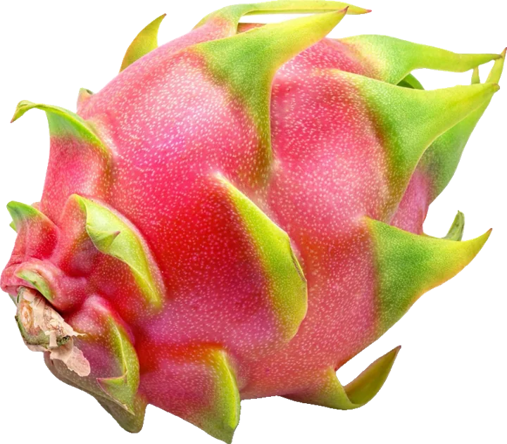 Tropical fruits
