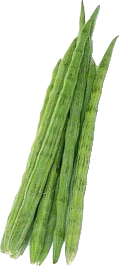 Drumstick