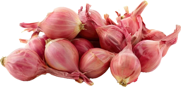 Onions, roots & cane