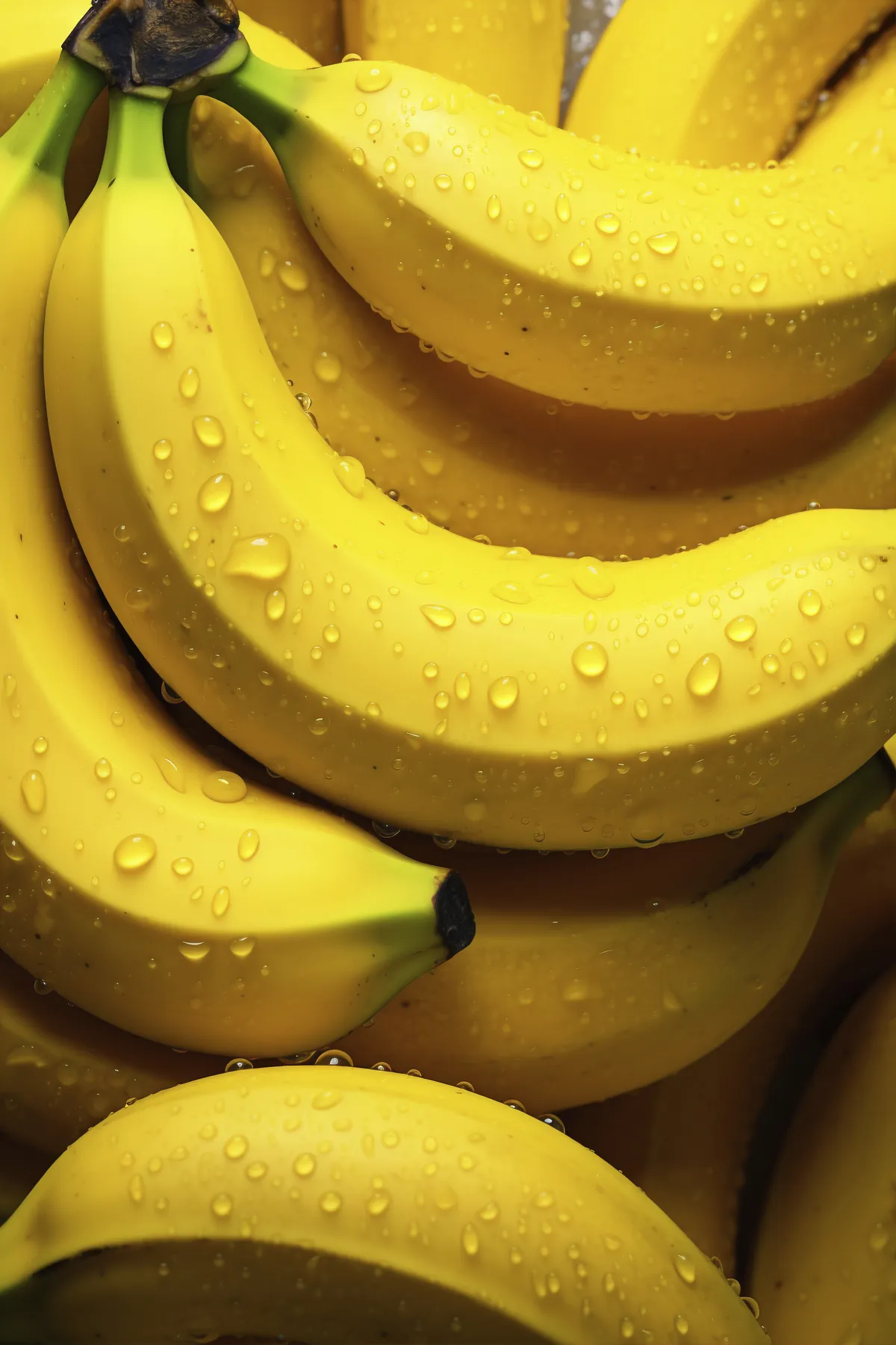 Fresh yellow bananas glistening with water droplets
